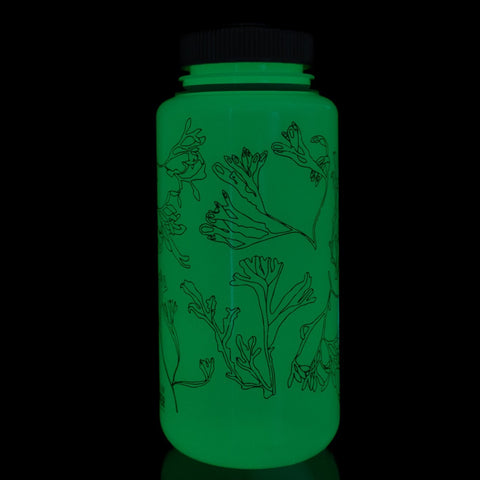 Bouteille Nalgene/Atelier phosphorescente 32 oz