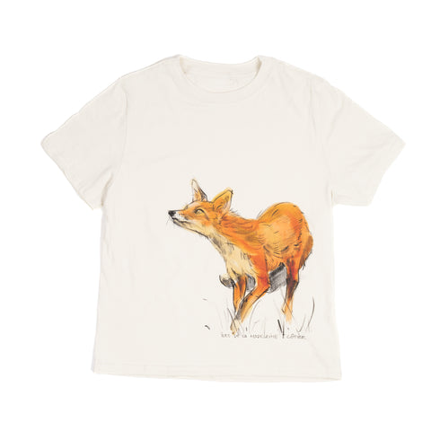 Boxy Fox