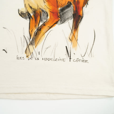 Boxy Fox