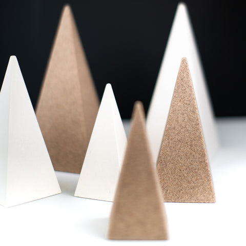iles de la madeleine, design maritime, sapin, arbre, flore, rabougri, béton, sable, bois, atelier côtier, tree,