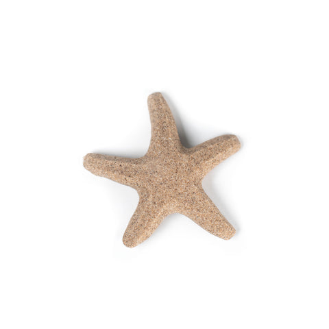 aimant, étoile de mer, sable, déco, Îles de la madeleine, atelier côtier, design maritime, fait au Québec, fait aux Îles, artisan,