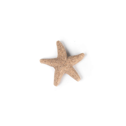 aimant, étoile de mer, sable, déco, Îles de la madeleine, atelier côtier, design maritime, fait au Québec, fait aux Îles, artisan,