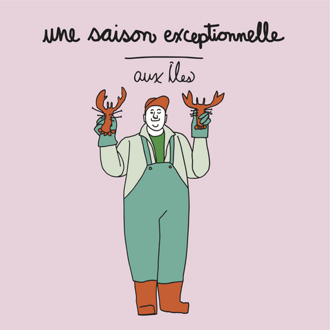 atelier côtier, iles de la madeleine, design maritime, illustration, dessin, aimant, frigo, homard, pêche