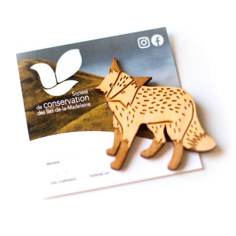 Société de conservation des îles-de-la-Madeleine, renard, nature, aimant, espace, protection, territoire