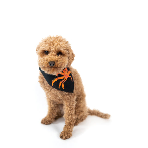 Foulard pour chien "Crabe qui pue"