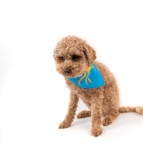 Foulard pour chien "Crabe qui pue"