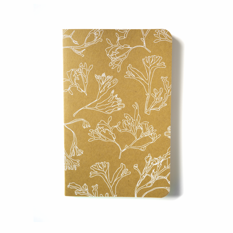 Cahier archipel