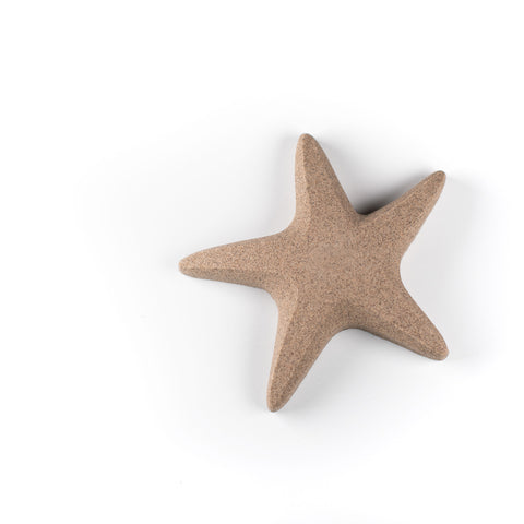 étoile de mer, sable, déco, Îles de la madeleine, atelier côtier, design maritime, fait au Québec, fait aux Îles, artisan, 
